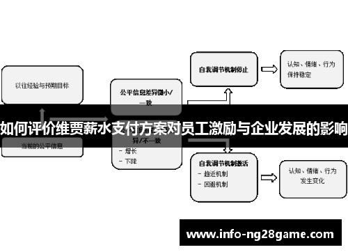 如何评价维贾薪水支付方案对员工激励与企业发展的影响
