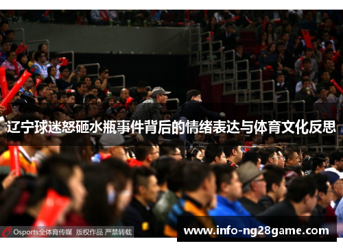 辽宁球迷怒砸水瓶事件背后的情绪表达与体育文化反思